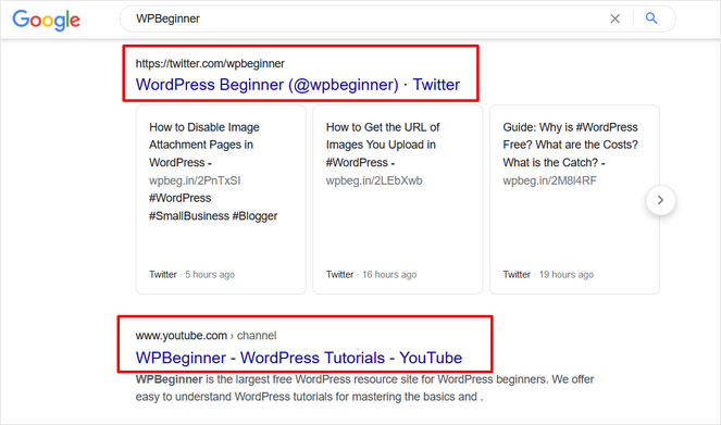 google search results for wpbeginner display social media platforms